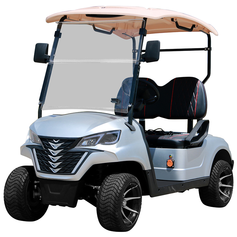 Carrello da golf Style B a 2 posti bianco 