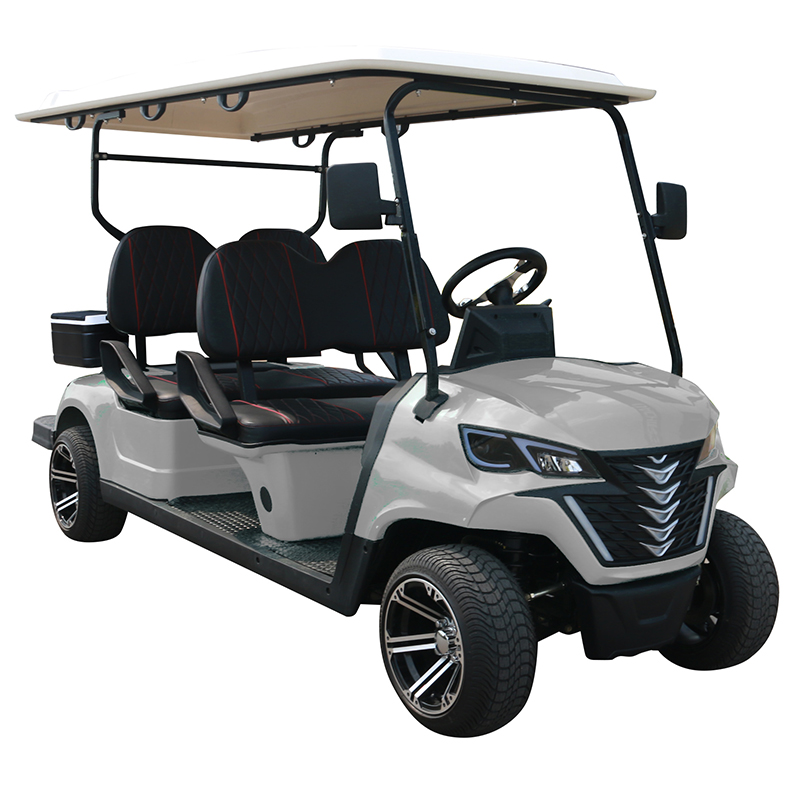 Carrello da golf Style B 4 posti grigio 