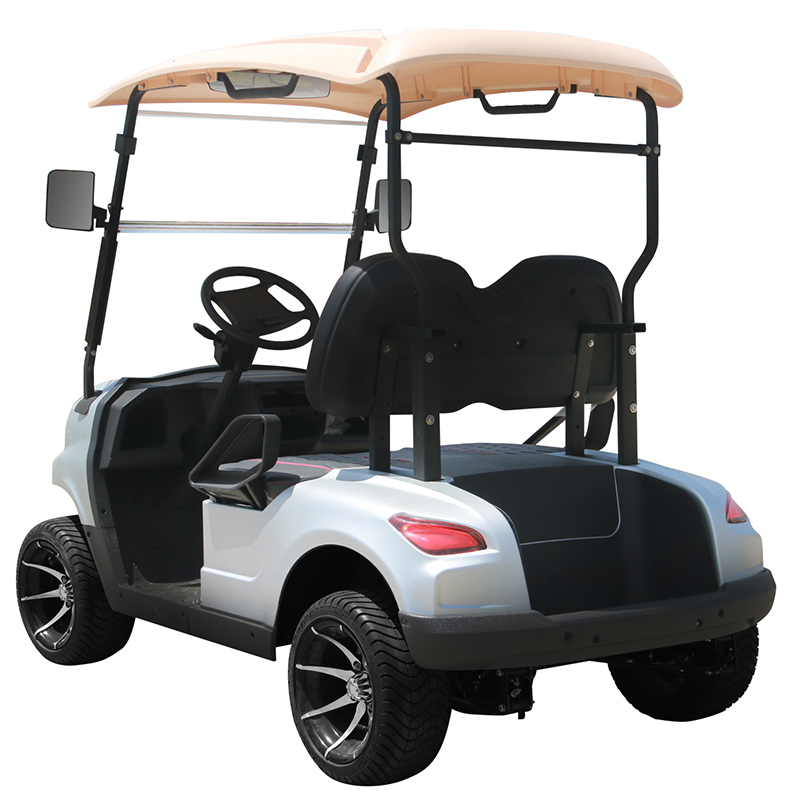 Carrello da golf Style B a 2 posti bianco 