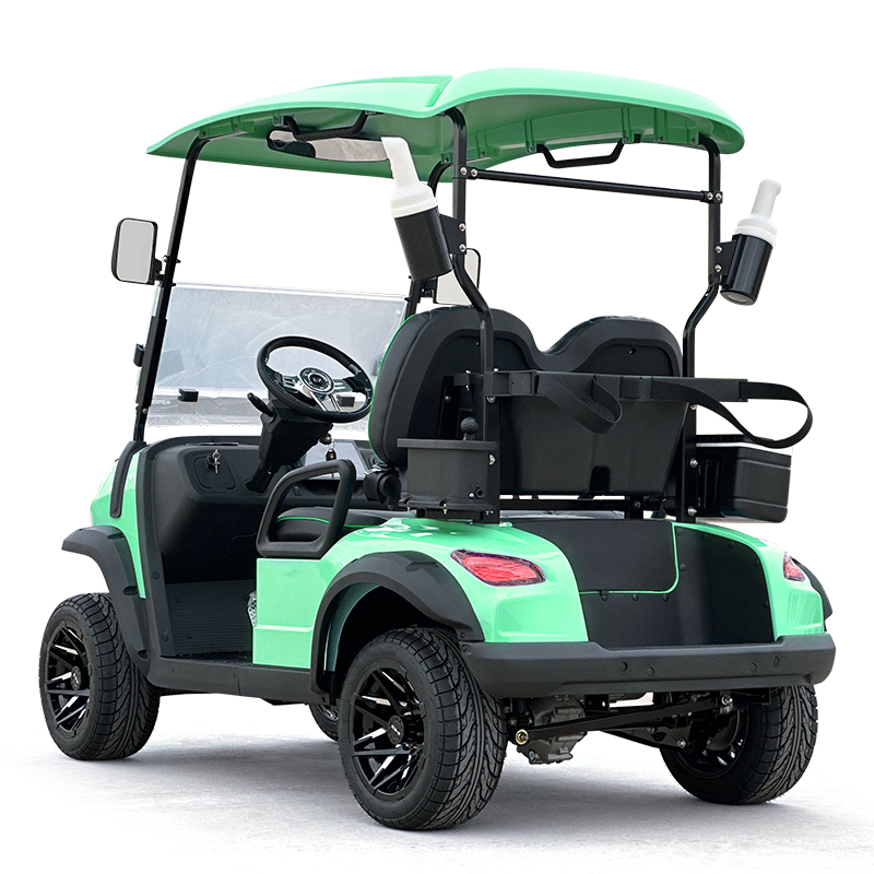 Carrello da golf Style C a 2 posti verde