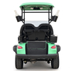 Carrello da golf Style C a 2 posti verde