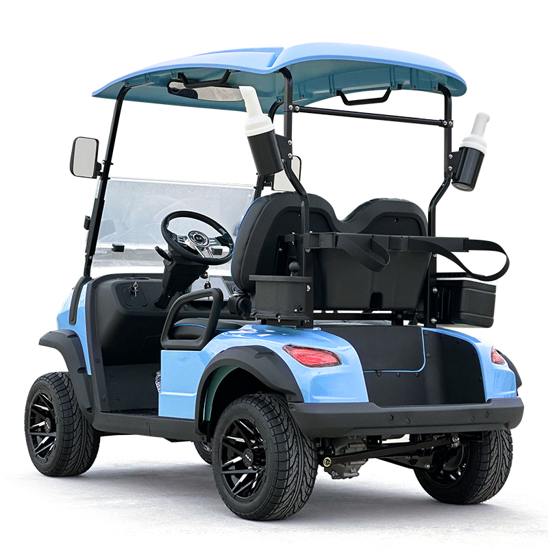 Carrello da golf Style C a 2 posti, colore celeste