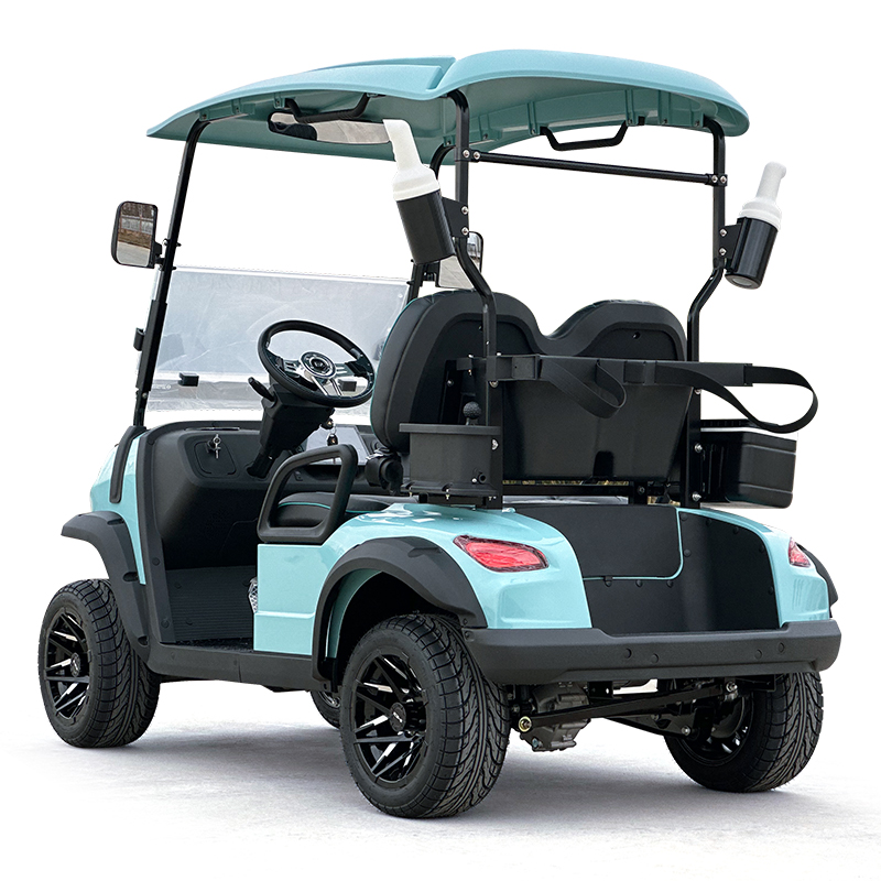 Carrello da golf Style C a 2 posti color celeste