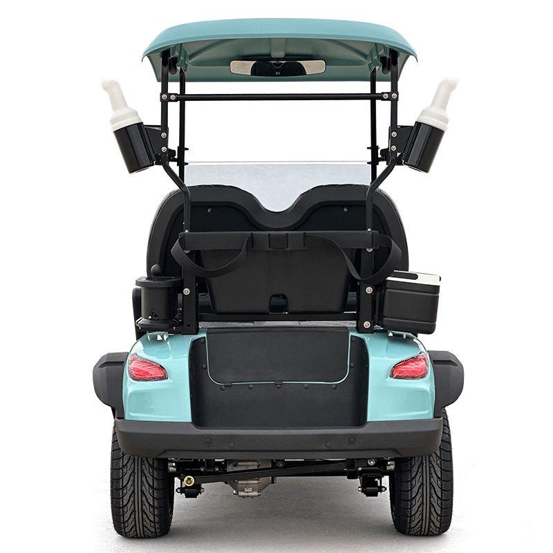 Carrello da golf Style C a 2 posti color celeste